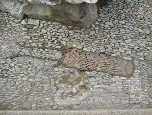 智慧树知到《中外建筑艺术赏析》章节测试答案