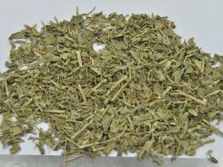 下列哪味中药为麻黄?