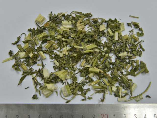 下列哪味中药为紫苏梗?