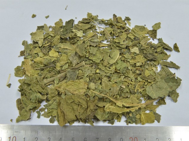 智慧树知到《中药性状鉴别技术》章节测试答案(第1-7章)