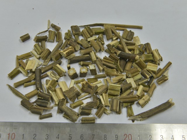 下列哪味中药为紫苏梗?