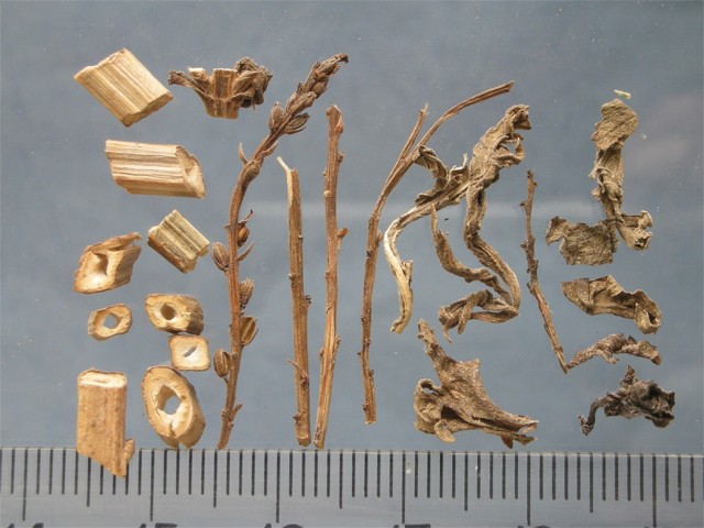 智慧树知到《中药性状鉴别技术》章节测试答案(第1-7章)