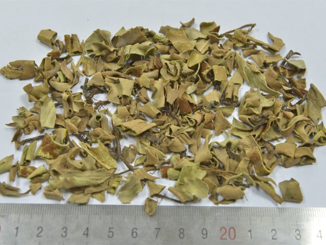 智慧树知到《中药性状鉴别技术》章节测试答案(第1-7章)