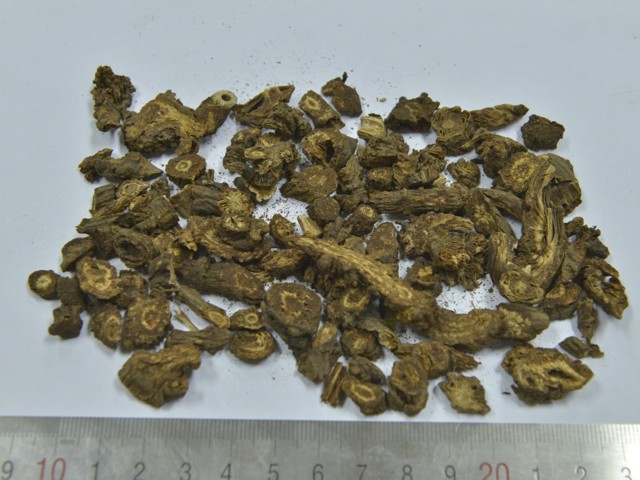 智慧树知到《中药性状鉴别技术》章节测试答案(第1-7章)