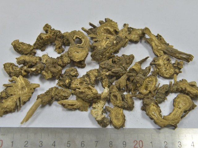 智慧树知到《中药性状鉴别技术》章节测试答案(第1-7章)