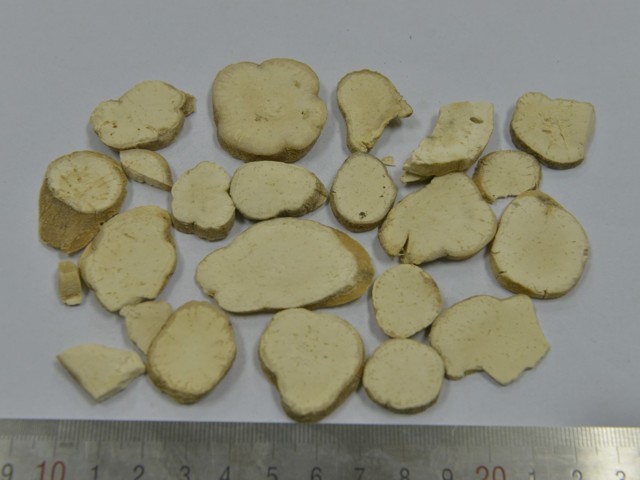 智慧树知到《中药性状鉴别技术》章节测试答案(第1-7章)