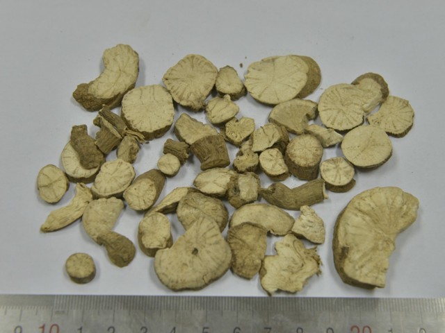 智慧树知到《中药性状鉴别技术》章节测试答案(第1-7章)