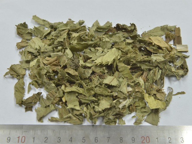 智慧树知到《中药性状鉴别技术》章节测试答案(第1-7章)