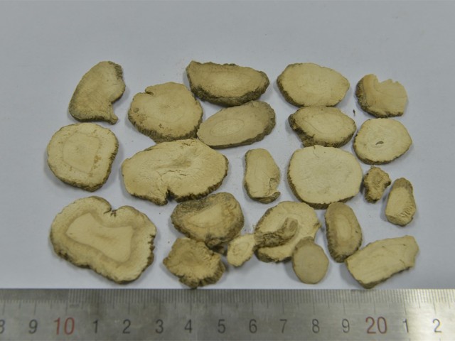 智慧树知到《中药性状鉴别技术》章节测试答案(第1-7章)