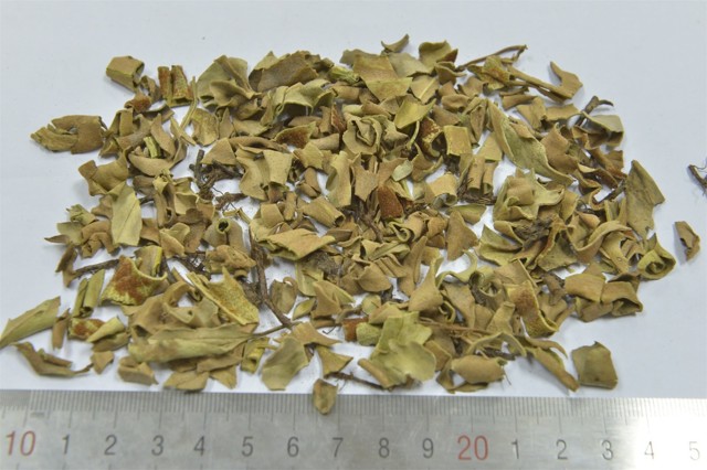 智慧树知到《中药性状鉴别技术》章节测试答案(第1-7章)