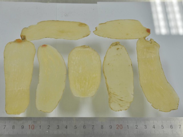 下列哪味中药为附子?_精华吧