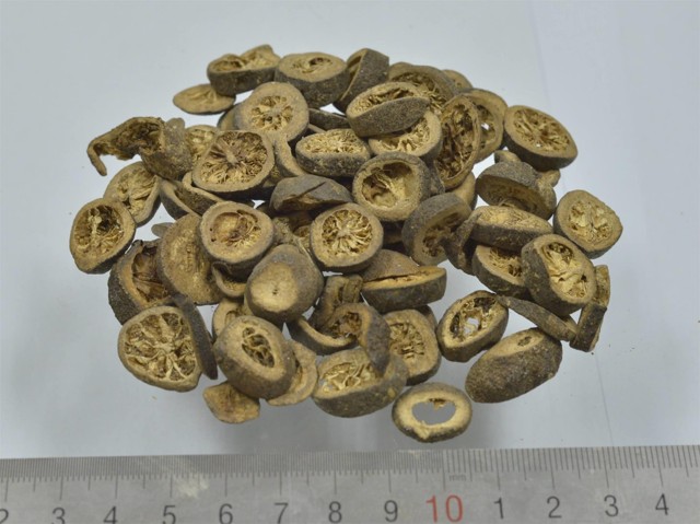 智慧树知到《中药性状鉴别技术》章节测试答案(第8-12章)