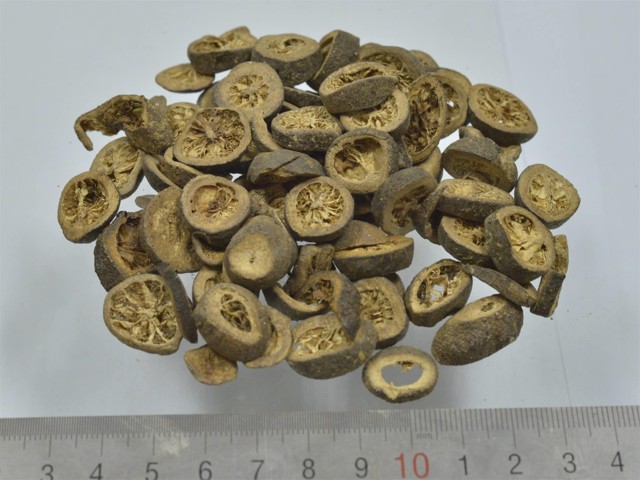 智慧树知到《中药性状鉴别技术》章节测试答案(第8-12章)