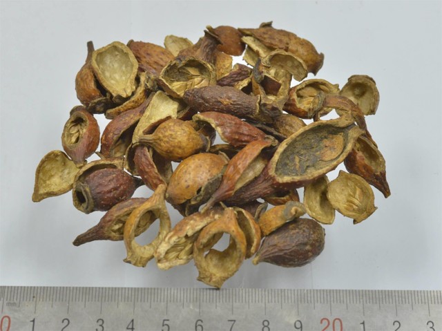 ǻ֪ҩ״½ڲԴ𰸣8-12£