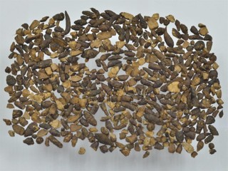 ǻ֪ҩ״½ڲԴ𰸣8-12£