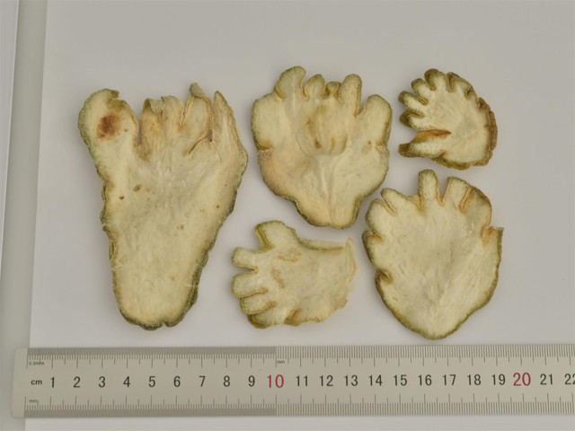 ǻ֪ҩ״½ڲԴ𰸣8-12£