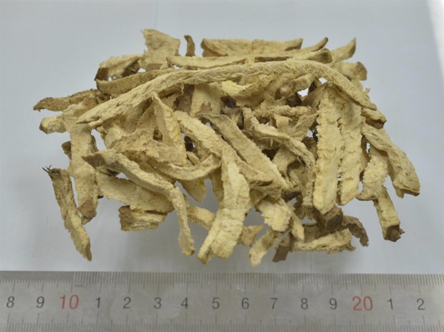 ǻ֪ҩ״½ڲԴ𰸣8-12£