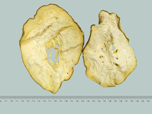 ǻ֪ҩ״½ڲԴ𰸣8-12£