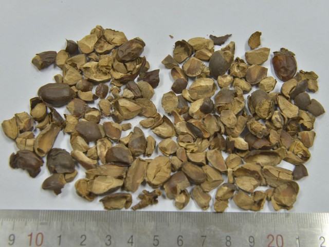 ǻ֪ҩ״½ڲԴ𰸣8-12£