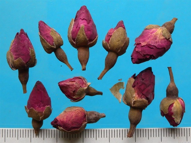 ǻ֪ҩ״½ڲԴ𰸣8-12£