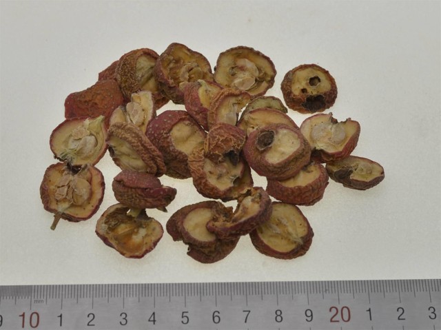 ǻ֪ҩ״½ڲԴ𰸣8-12£