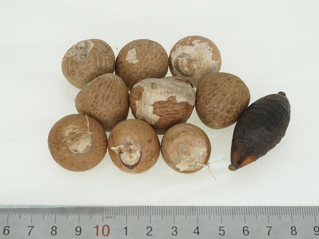 ǻ֪ҩ״½ڲԴ𰸣8-12£