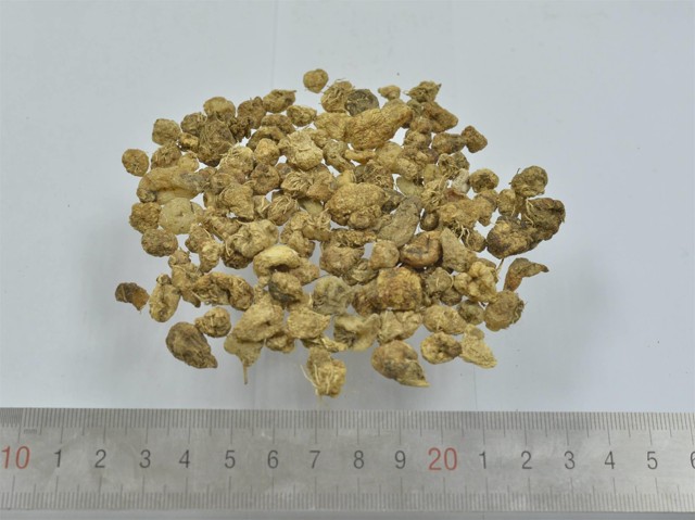 ǻ֪ҩ״½ڲԴ𰸣8-12£