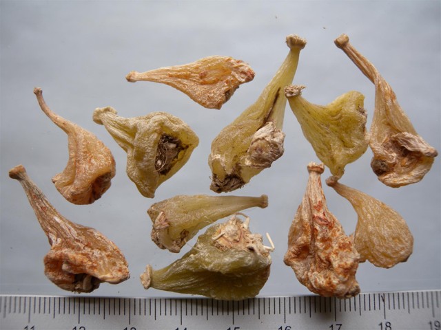 ǻ֪ҩ״½ڲԴ𰸣8-12£