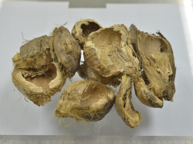 ǻ֪ҩ״½ڲԴ𰸣8-12£