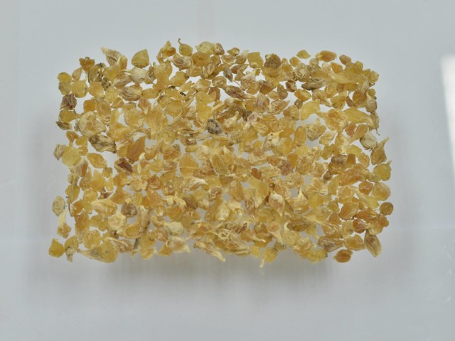 ǻ֪ҩ״½ڲԴ𰸣8-12£