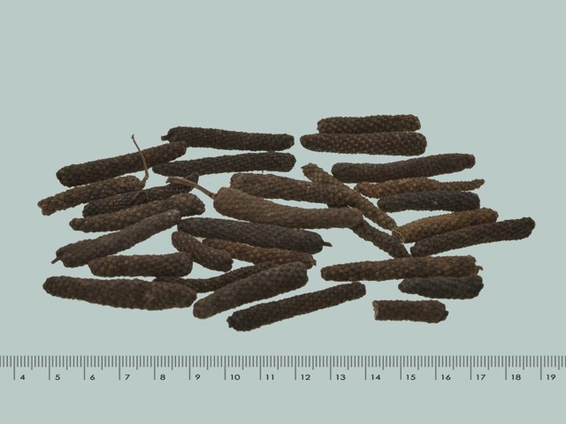 智慧树知到《中药性状鉴别技术》章节测试答案(第13-22章)