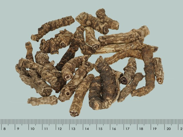 ǻ֪ҩ״½ڲԴ𰸣13-22£