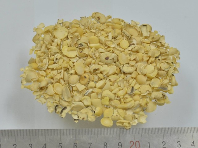 智慧树知到《中药性状鉴别技术》章节测试答案(第13-22章)