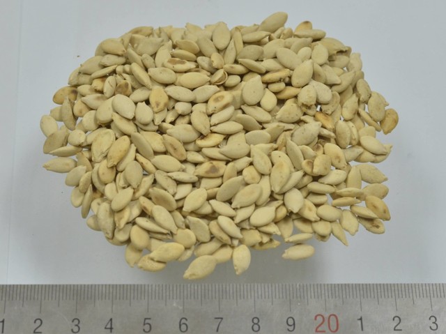 智慧树知到《中药性状鉴别技术》章节测试答案(第13-22章)