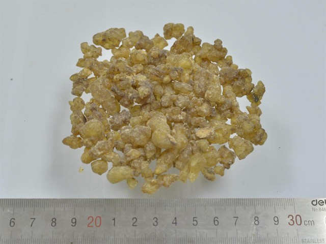 智慧树知到《中药性状鉴别技术》章节测试答案(第13-22章)