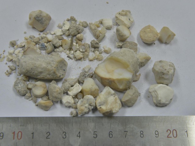 智慧树知到《中药性状鉴别技术》章节测试答案(第13-22章)