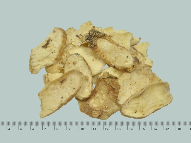 智慧树知到《中药性状鉴别技术》章节测试答案(第13-22章)