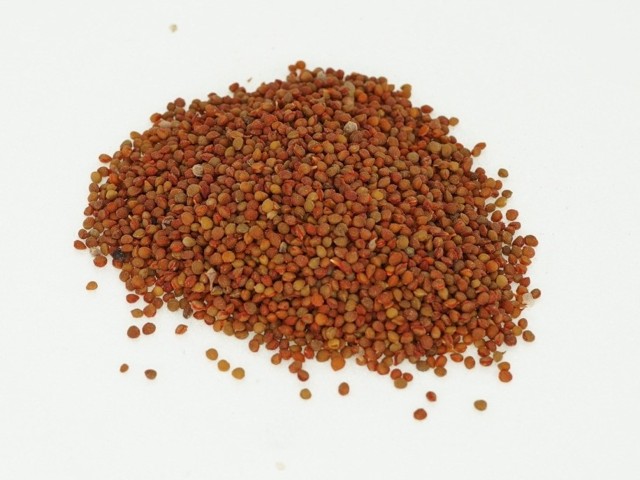 智慧树知到《中药性状鉴别技术》章节测试答案(第13-22章)