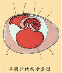 智慧树知到《动物生物学》章节测试答案