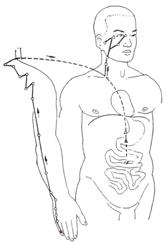 智慧树知到《经络畅通病无踪》章节测试答案