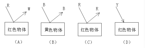 色光照射到物体上,物体呈色原理表示正确的是()